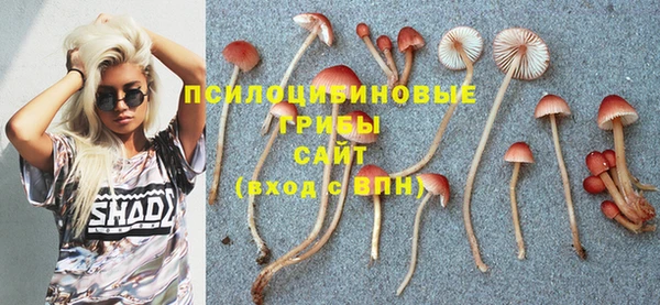MESCALINE Зеленокумск