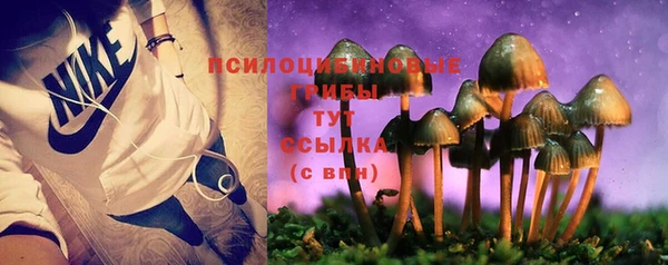 MESCALINE Зеленокумск