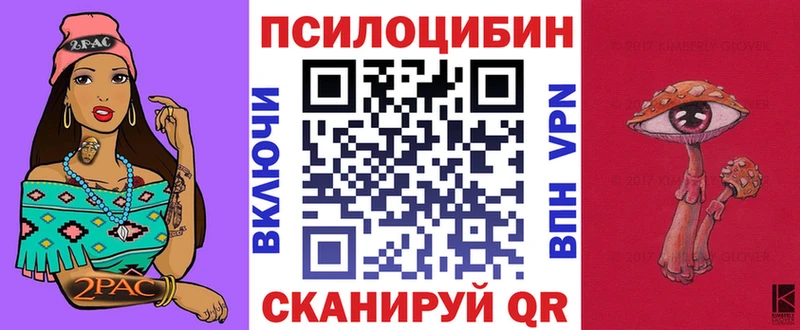 Купить  Новоалтайск  Галлюциногенные грибы Psilocybine cubensis 
