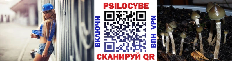 Псилоцибиновые грибы Cubensis Новоалтайск