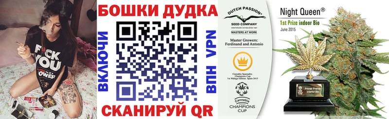 Купить где  Новоалтайск  Конопля марихуана 